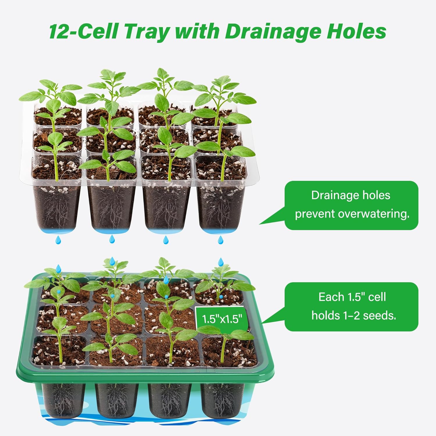 6/12 Grids Growing Starting Nu - Dome Propagation Kit avis et prix