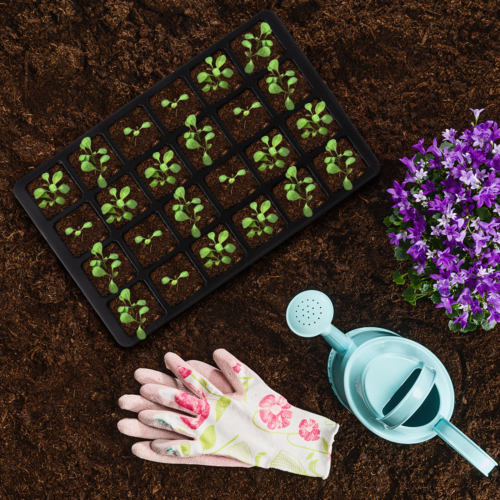 3Pcs Seedling Tray Kit Starter - Dome Propagation Kit avis et prix