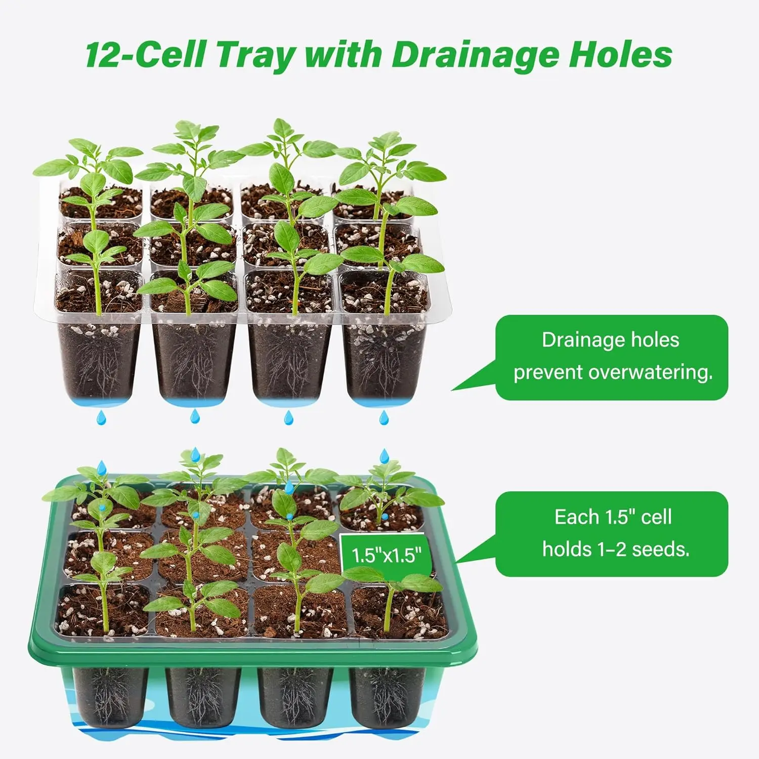 6/12 Grids Growing Starting Nu - Dome Propagation Kit avis et prix