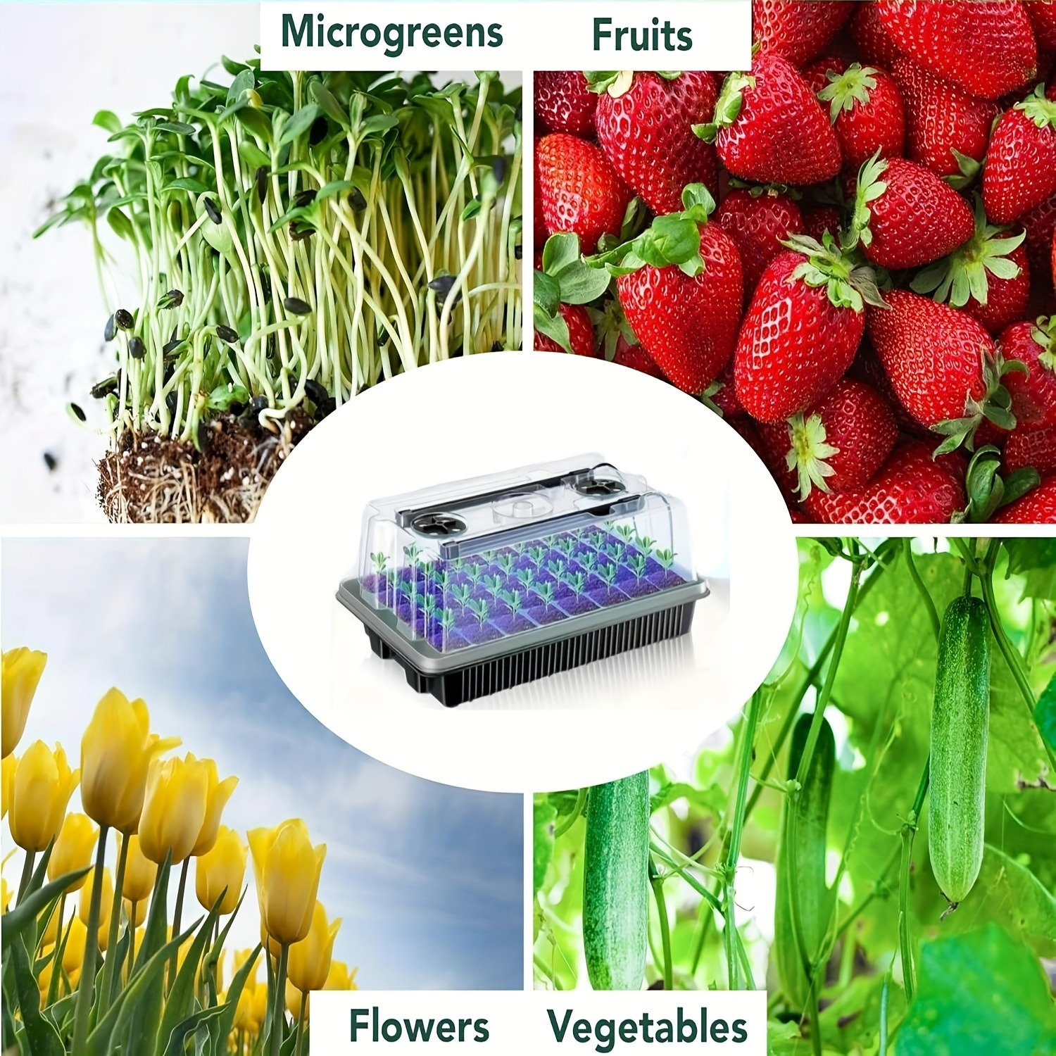 40/Cell Seed Starter Kit with  - Dome Propagation Kit avis et prix