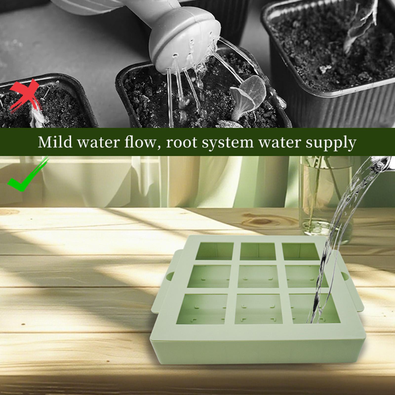 Plant Starter Tray Reusable Mi - Dome Propagation Kit avis et prix