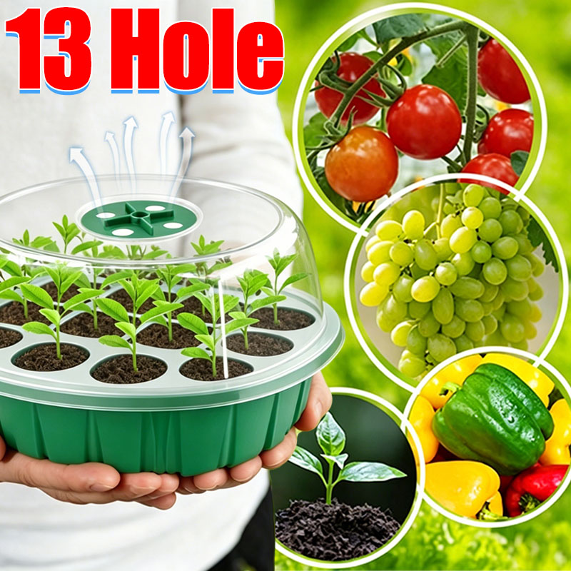 13 Hole Growing Starting Nurse - Dome Propagation Kit avis et prix