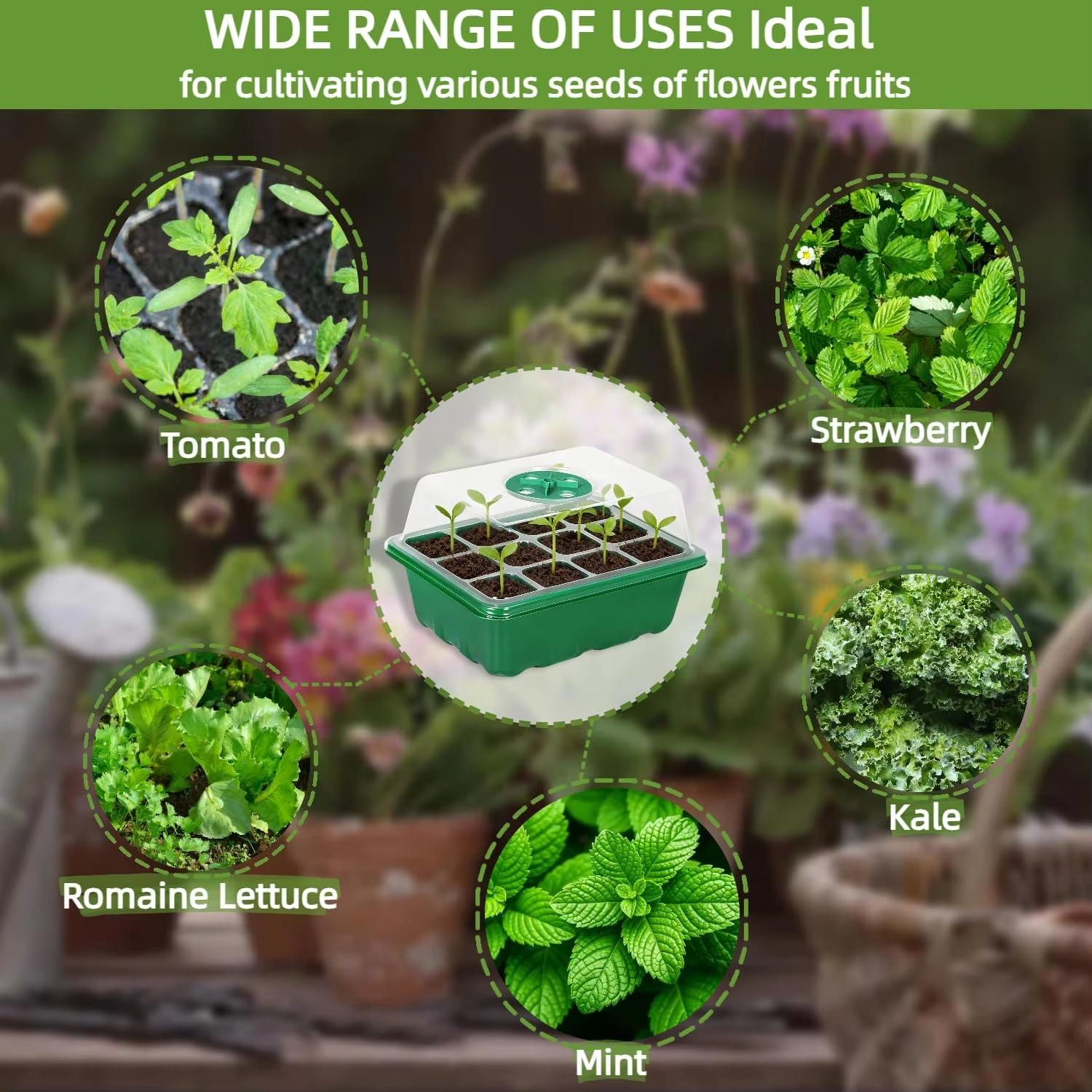 3Pcs Seed Starter Tray Mini Gr - Dome Propagation Kit avis et prix