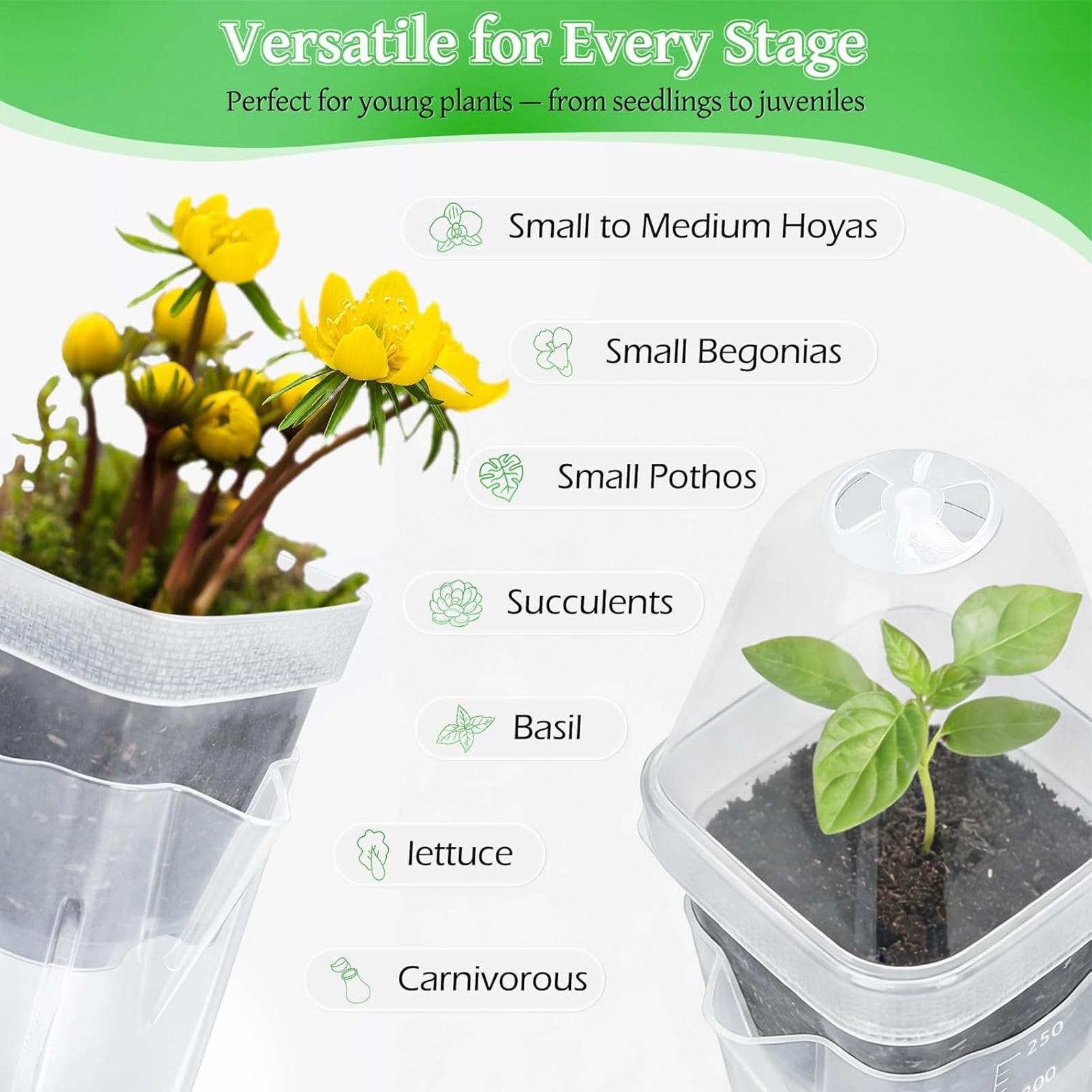 Self Watering Pots 12Pcs Seed  - Dome Propagation Kit avis et prix