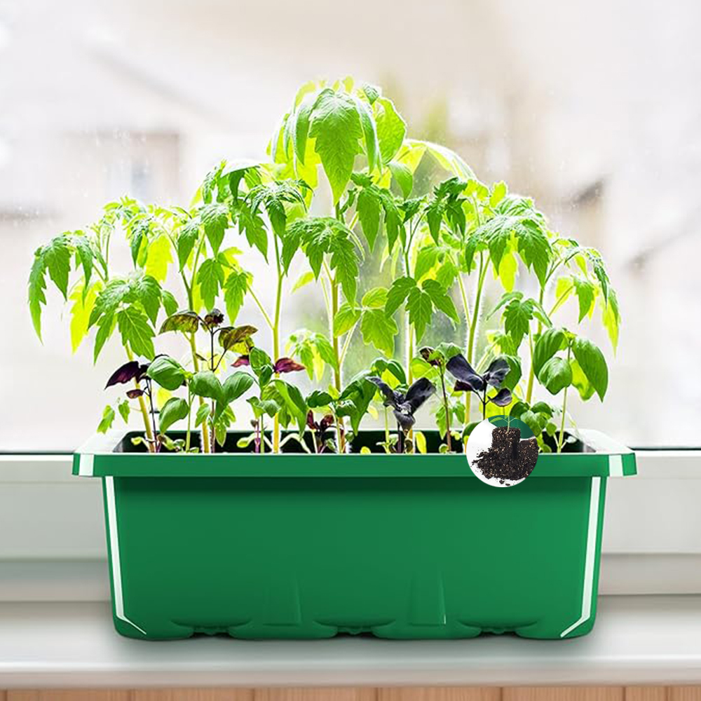 10pcs/set Seedling Trays Seed  - Dome Propagation Kit avis et prix