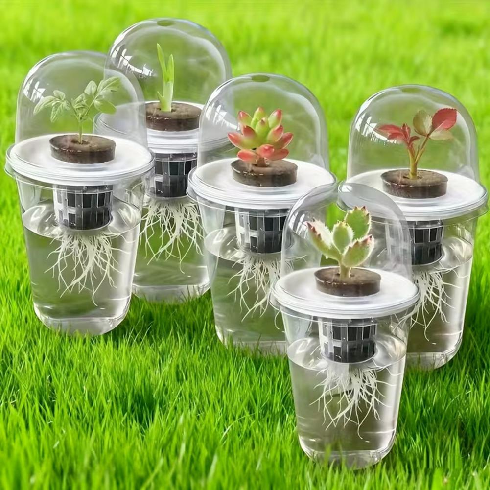 Hydroponic S Starter Cup Plant - Dome Propagation Kit avis et prix