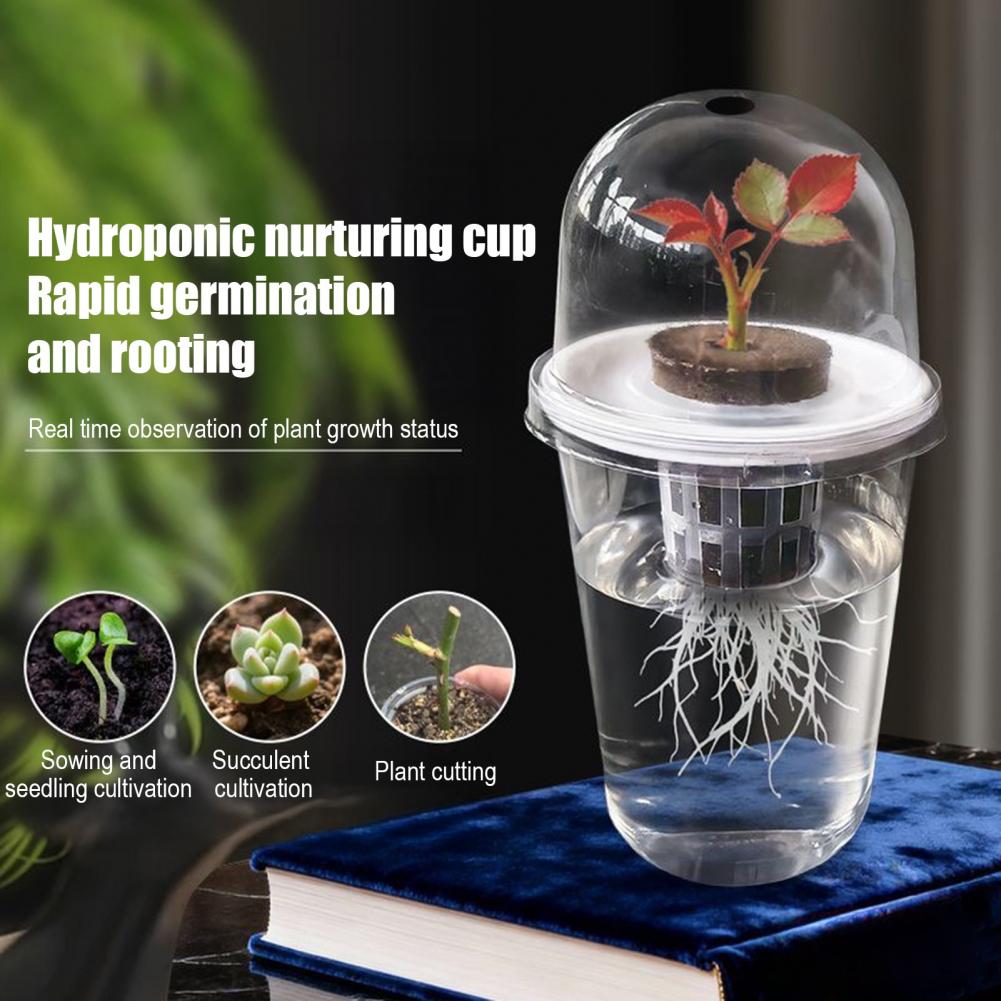 Hydroponic S Starter Cup Plant - Dome Propagation Kit avis et prix