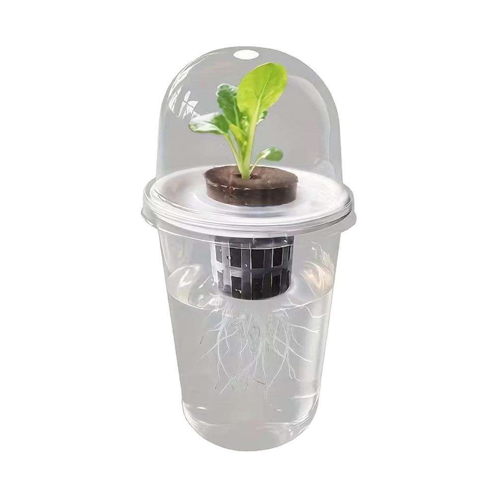 Hydroponic S Starter Cup Plant - Dome Propagation Kit avis et prix